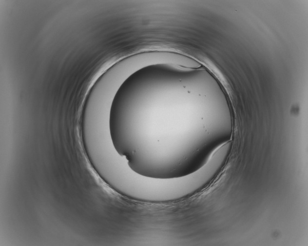 X0000096430909200802211144