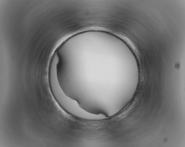 X0000096430910200802211144