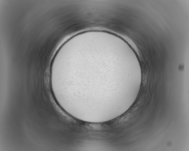X0000096430911200802211144