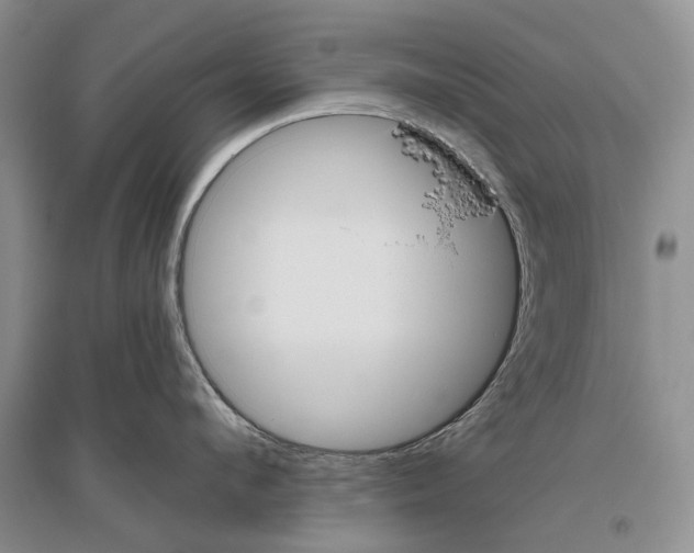 X0000096430912200802211144
