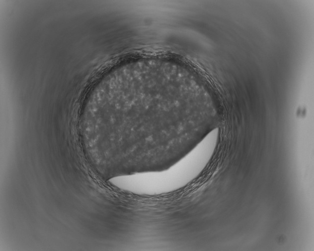 X0000096430913200802211143