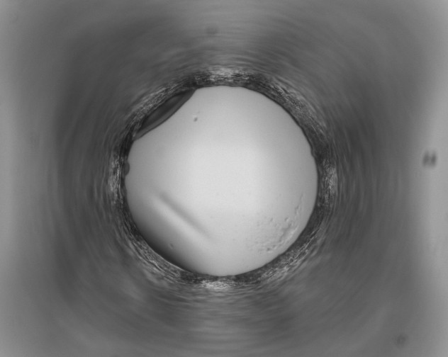 X0000096430914200802211143
