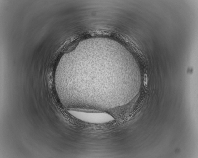 X0000096430915200802211143