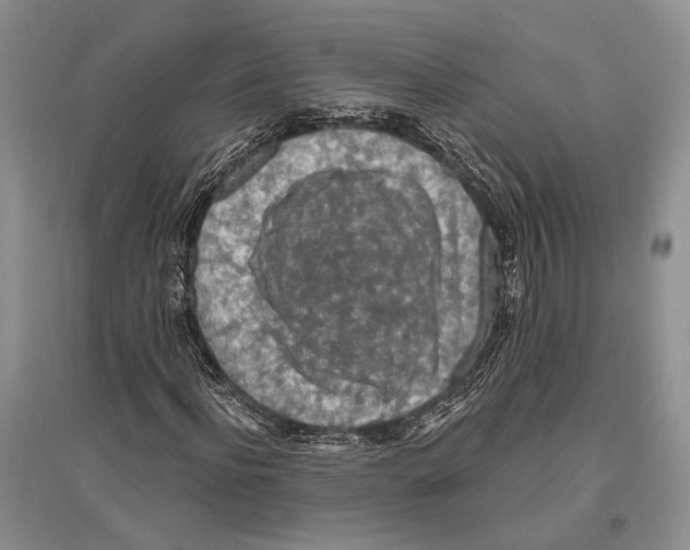 X0000096430916200802211143