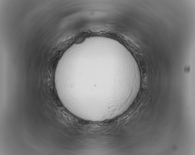 X0000096430917200802211143
