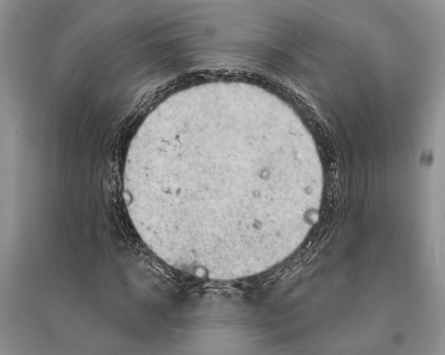 X0000096430918200802211143