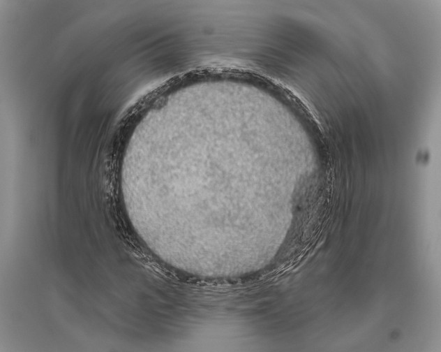 X0000096430919200802211143