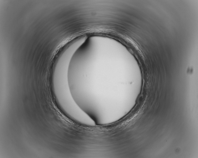 X0000096430922200802211143