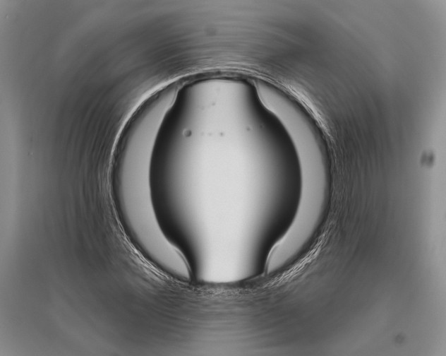 X0000096430924200802211144