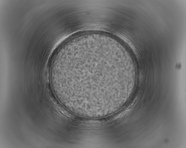 X0000096430925200802211144