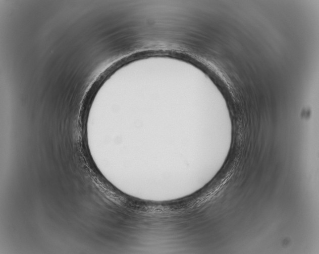 X0000096430927200802211144