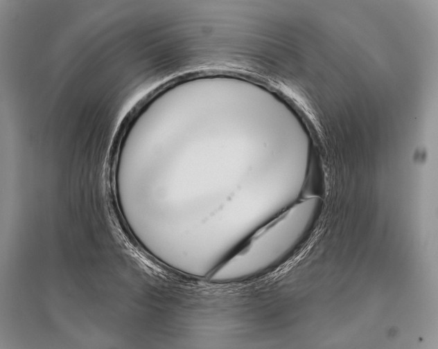 X0000096430928200802211144