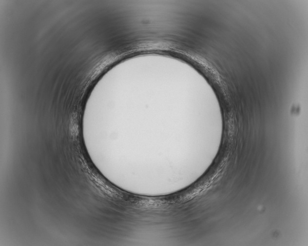 X0000096430929200802211144