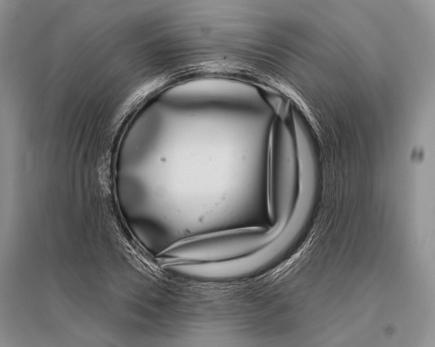 X0000096430930200802211144