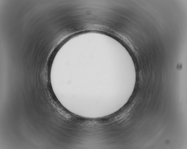 X0000096430931200802211144