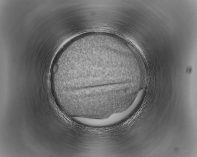 X0000096430932200802211144