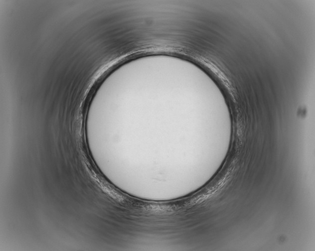 X0000096430933200802211144