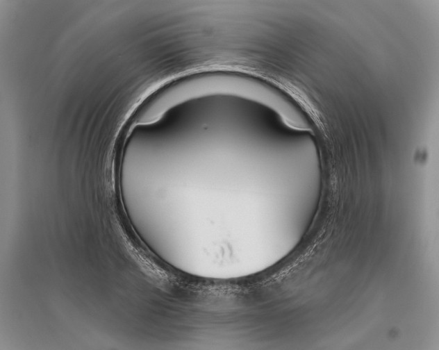 X0000096430934200802211144