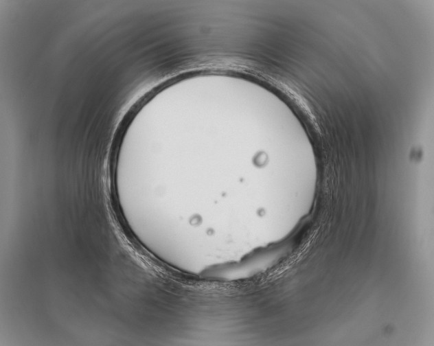 X0000096430936200802211144
