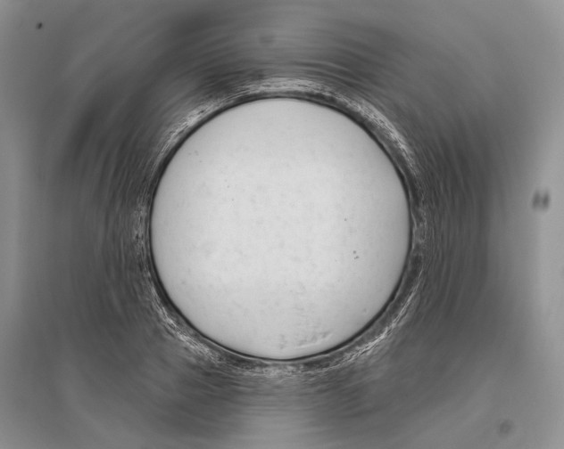 X0000096430937200802211144