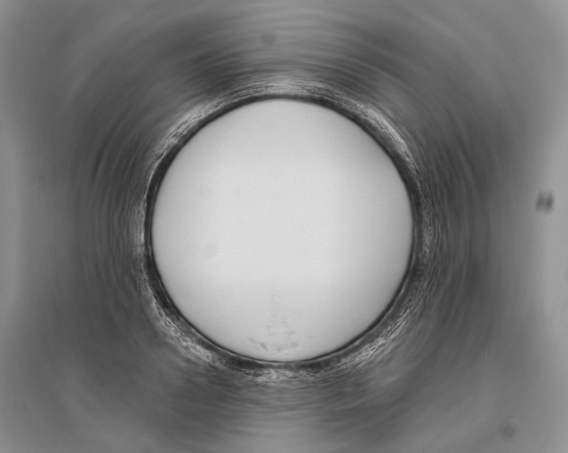 X0000096430938200802211144