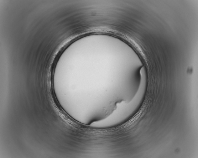 X0000096430939200802211144