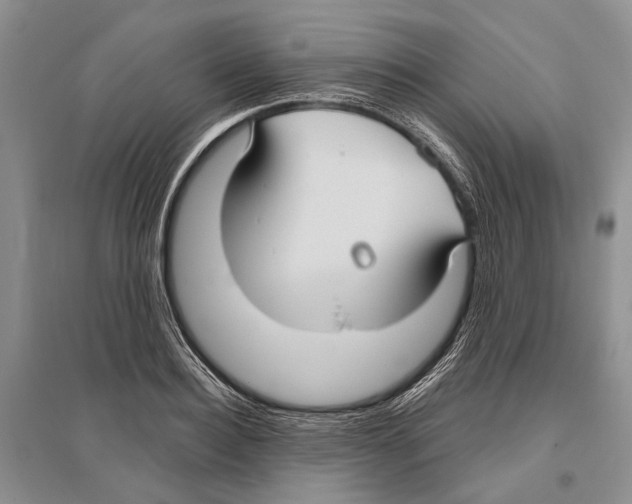X0000096430940200802211144