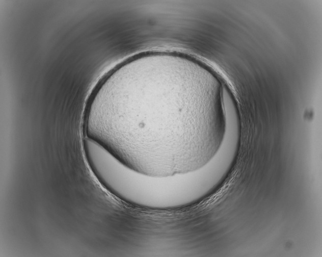 X0000096430943200802211144