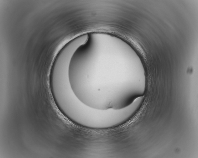 X0000096430944200802211144