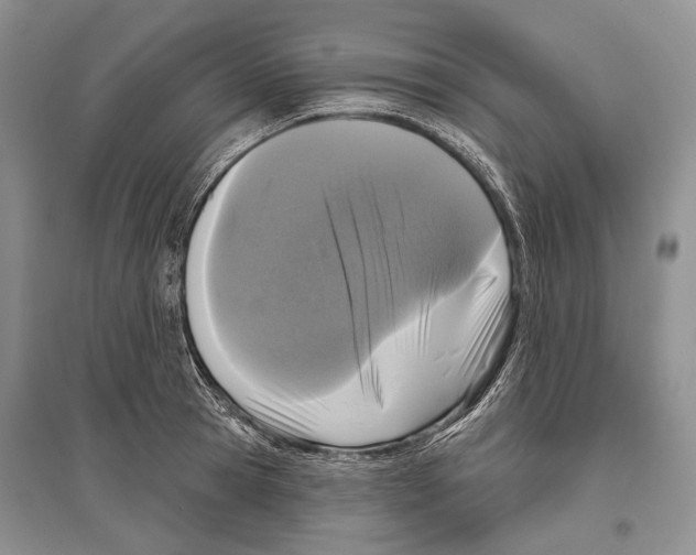 X0000096430945200802211144