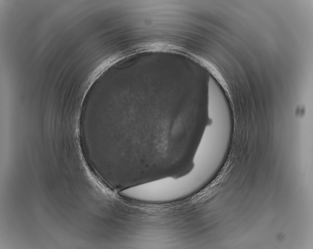 X0000096430946200802211144