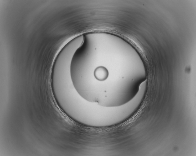 X0000096430948200802211144