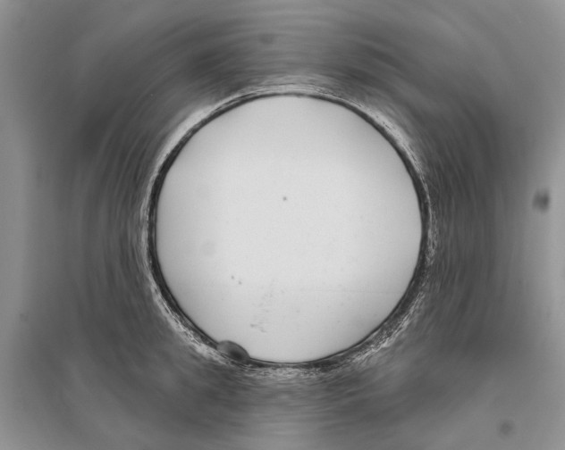 X0000096430949200802211144