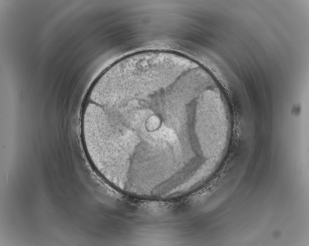 X0000096430950200802211144