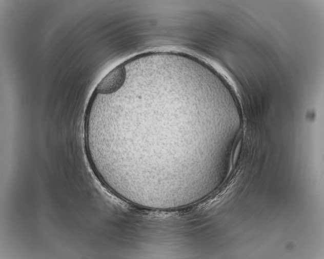 X0000096430951200802211144