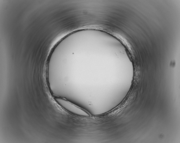X0000096430952200802211144