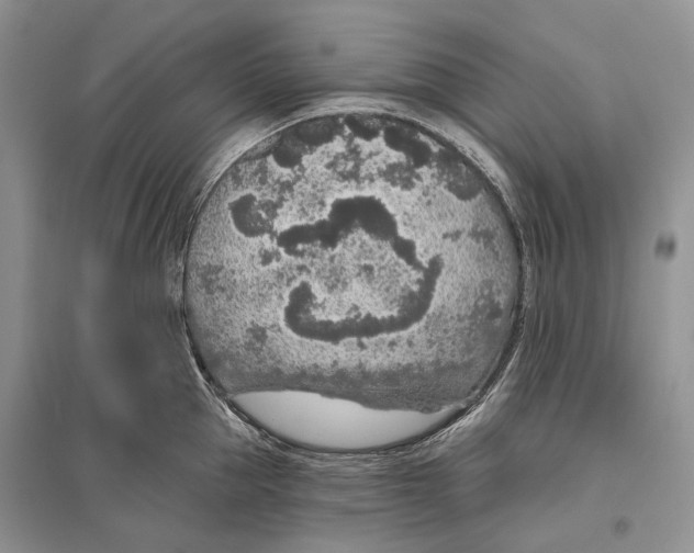 X0000096430953200802211144