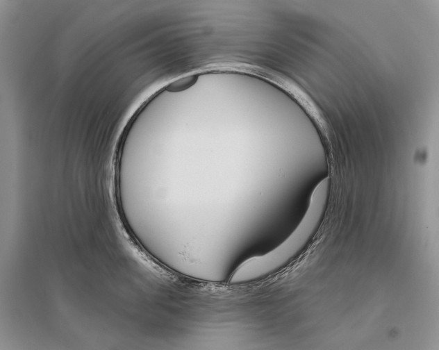 X0000096430955200802211144