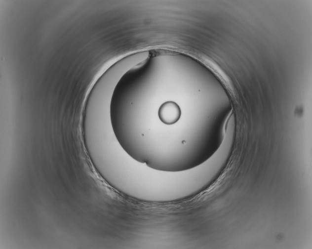 X0000096430956200802211144