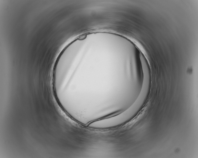 X0000096430957200802211144