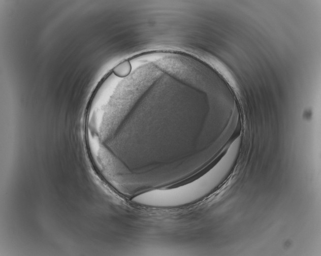 X0000096430958200802211144