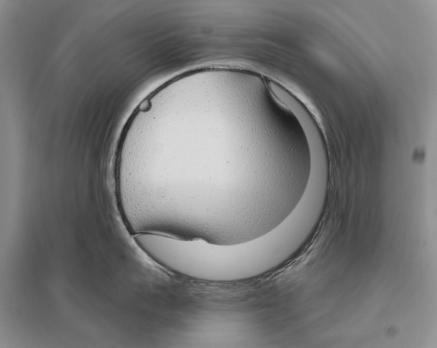 X0000096430959200802211144