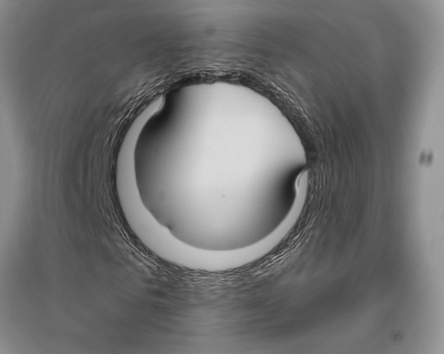 X0000096430961200802211143