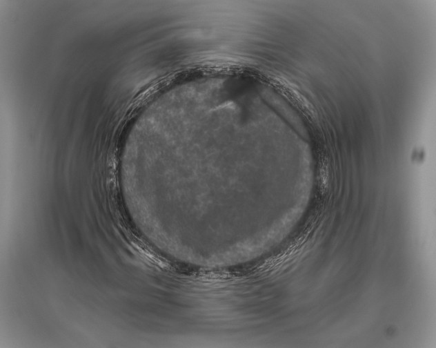 X0000096430964200802211143