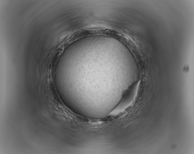 X0000096430965200802211143