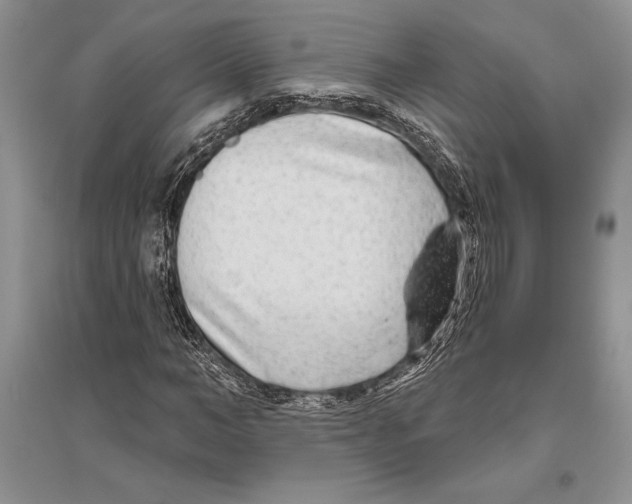 X0000096430966200802211143