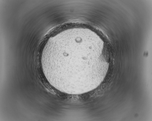X0000096430968200802211143