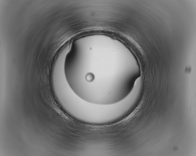 X0000096430969200802211143