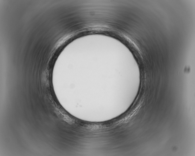 X0000096430970200802211143