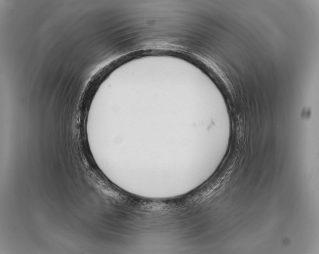 X0000096430971200802211143